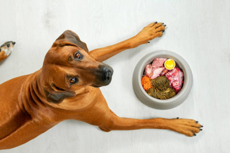 Alimentação Natural para Cachorro Valor Nova Esperança - Alimentação Natural para Cães Rio das Ostras