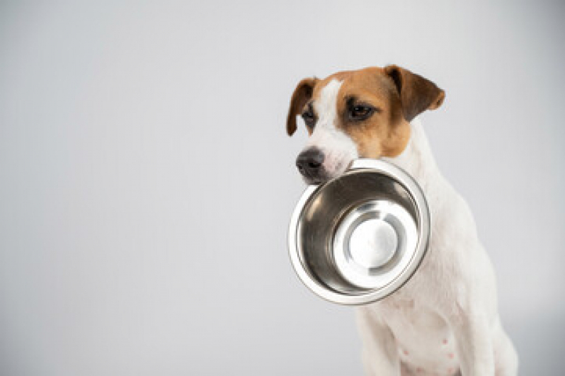 Alimentação Natural para Cães e Gatos Valor Costa do Sol - Alimentação Natural para Cães Niterói