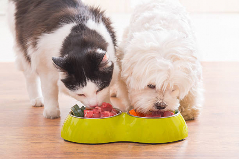 Alimentação Natural para Filhotes de Cachorro Valor Cancela Preta - Alimentação Natural para Cães e Gatos