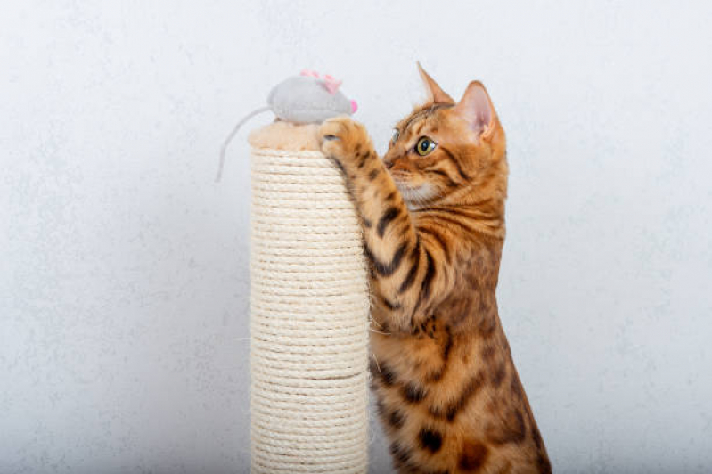 Brinquedo Arranhador para Gatos Ititioca - Brinquedo Arranhador para Gatos