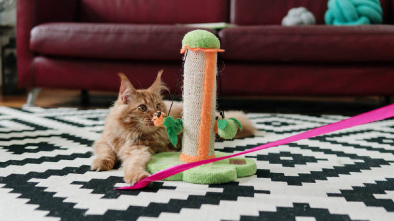 Brinquedo de Gato Preço Largo Barradas - Brinquedo de Corda para Cachorro