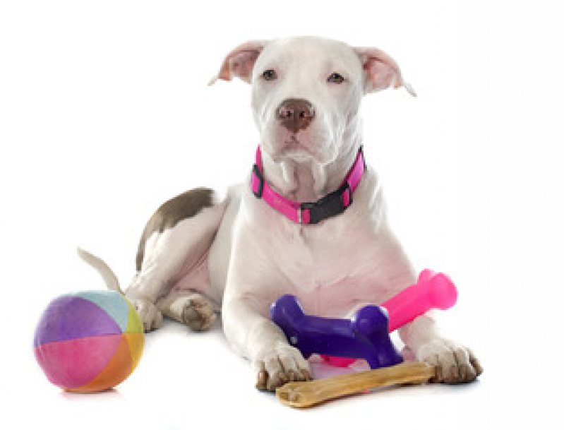 Brinquedo Resistente para Cachorro Preço Caxito Pequeno - Brinquedo de Corda para Cachorro