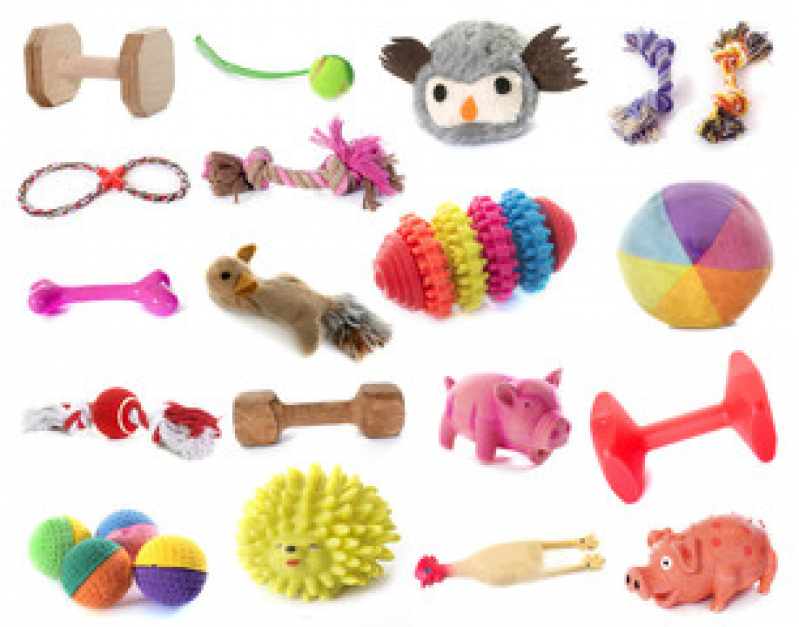 brinquedos para animais brinquedo para cachorro morder RJ