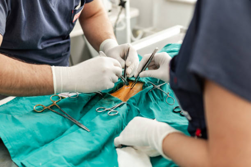 Cirurgia Castração Cachorro Bairro da Glória - Cirurgia de Catarata em Cachorro