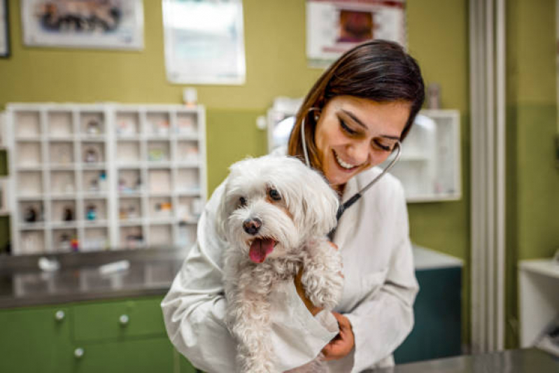 Consultório Veterinário e Pet Shop Telefone Itacoatiara - Consultório Veterinário de Cães e Gatos