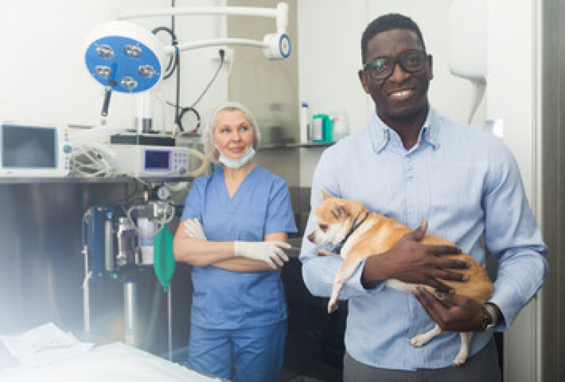 Consultório Veterinário para Animais Gragoata - Consultório Veterinário para Cães e Gatos