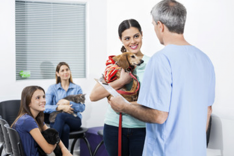 Consultório Veterinário para Gatos Telefone Aracatiba - Consultório Veterinário para Cães