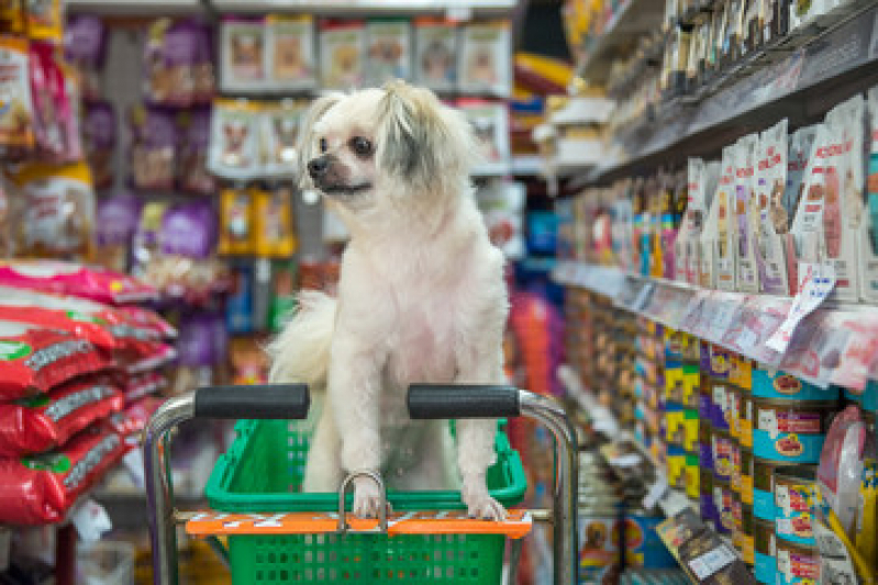 Contato de Pet Shop para Cachorros Jardim Mariléa - Pet Shop Perto de Mim