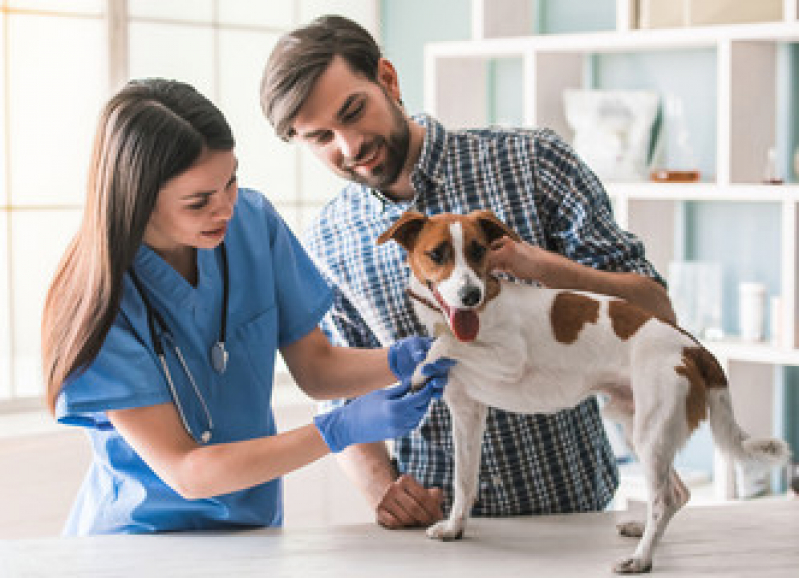 Exame de Pele em Cachorro Preço Centro - Exame de Sangue em Cachorro