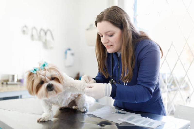 Exame de Raspado de Pele em Cães Preço Operário - Exame de Sangue em Cachorro Niterói