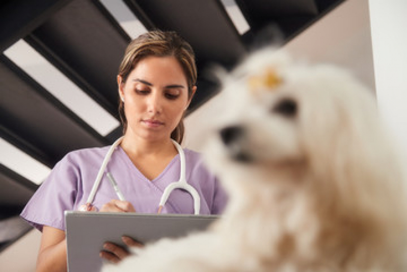 Exame de Urina em Cachorro Preço Jardim Vitória - Exame de Sangue Canino