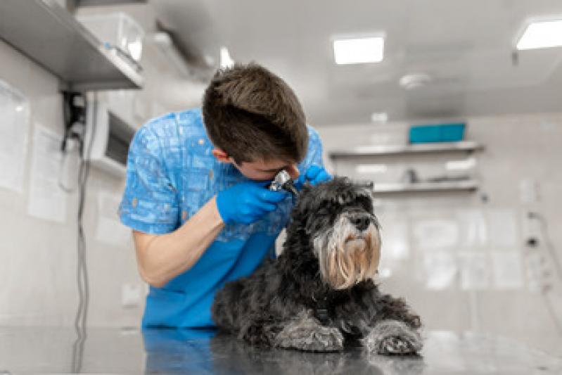 Onde Faz Exame de Pele em Cachorro Aracatiba - Exame de Urina em Cães