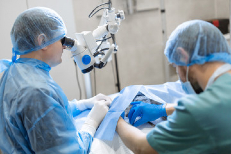 Onde Fazer Cirurgia de Pequenos Animais Lagomar - Cirurgia Ortopédica Veterinária