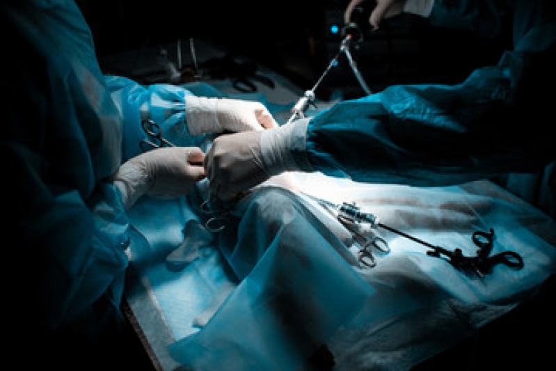 Onde Fazer Cirurgia Ortopédica Veterinária Charitas - Cirurgia para Animais de Pequeno Porte