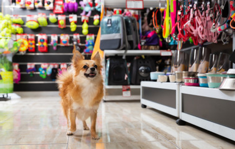 Pet Shop Cães e Gatos Parque Turf Club - Pet Shop Próximo