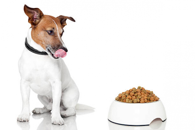 Preço de Alimentação Natural Cães e Gatos Maravista - Alimentação Natural para Cães