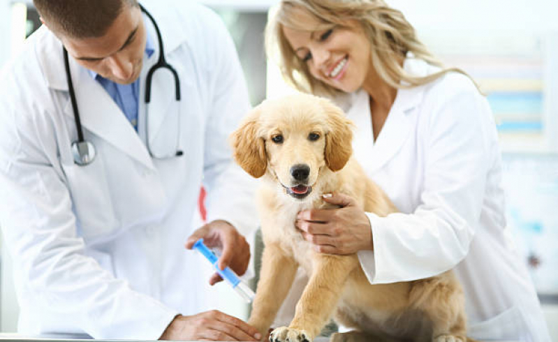 Preço de Vacina Cachorro Filhote Niterói - Vacina contra Raiva Cachorro