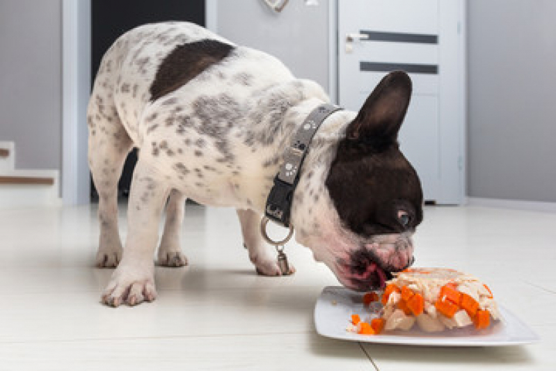 Ração Natural para Cachorro Valor Marquês Maricá - Alimentação Natural para Filhotes de Cachorro