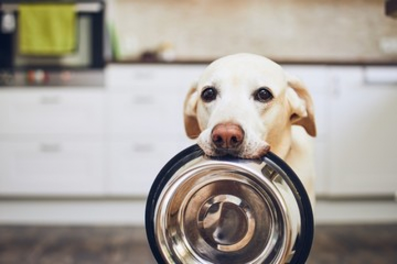 Ração Natural Seca para Animais Valor Boqueirão - Alimentação Natural para Filhotes de Cachorro