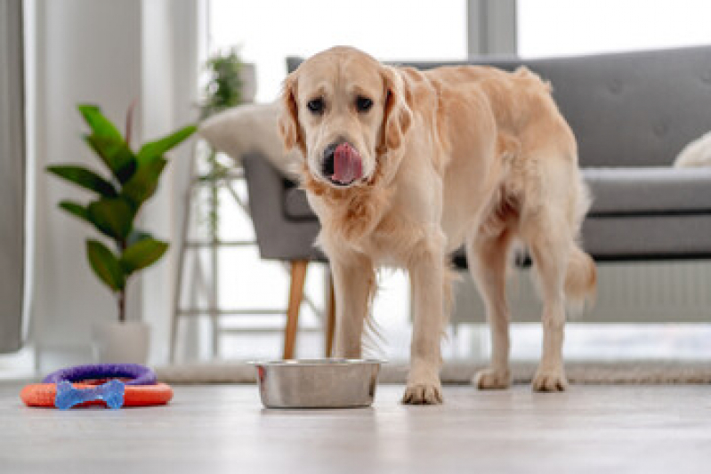 Ração Natural Seca para Animais Padre Pequeno - Alimentação Natural para Cachorro