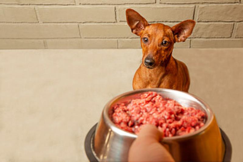 Ração Natural Seca para Cães e Gatos Valor Engenho do Mato - Alimentação Natural para Cães Niterói