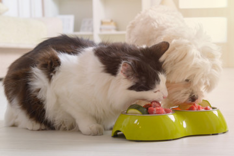 Ração Natural Seca para Cães e Gatos Caxito Pequeno - Alimentação Natural para Filhotes de Cachorro