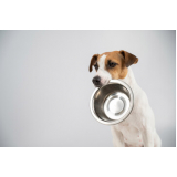 alimentação natural para cães e gatos valor Mata Paca
