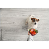 alimentação natural para cães Cordeirinho - Ponta Negra