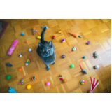 brinquedo interativo para gato Recreio