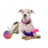 brinquedo resistente para cachorro preço Barroco