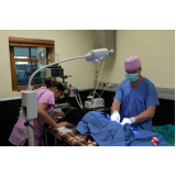 cirurgia de castração de cadela marcar Cantagalo