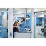 cirurgia de catarata cachorro Cordeirinho - Ponta Negra