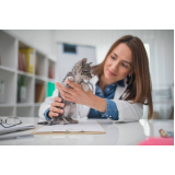clínica médica veterinária para gatos Engenhoca