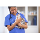 clínica veterinária para filhote de gatos contato Enseada das Gaivotas