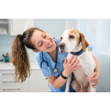 consultório veterinário de cães e gatos telefone Vila Progresso