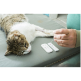 exame de toxoplasmose no gato preço Itaipu