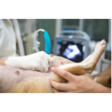 exame de ultrassom para cachorro valor Maria Turri
