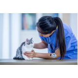 exame toxoplasmose em gato preço Cantagalo