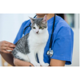 exame toxoplasmose gato preço Engenho do Mato