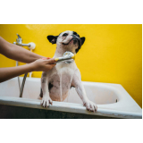 hidratação para pelos de cachorro valores Itaipu