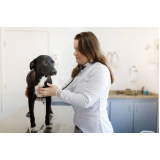 onde faz exame cardiológico em cachorro Palmital