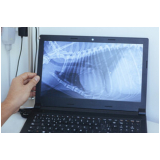 onde faz exame de raio x para animais Barroco - Itaipuaçu