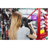 pet shop dog center Praia-Mar