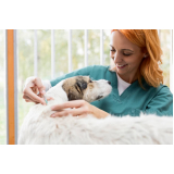 preço de vacina da raiva cachorro Bela Vista