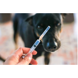 preço de vacina de gripe para cachorro Extensão Serra Mar