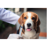 preço de vacina para carrapato em cachorro Centro