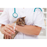 qual o preço de vacina antirrábica gato Centro