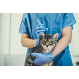 qual o preço de vacina contra raiva gato Operário