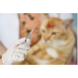 qual o preço de vacina de raiva gato Verdes Mares