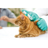 qual o preço de vacina para gato Itacoatiara